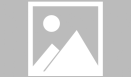 今年娱乐圈吃瓜李,李成瓜田，瓜事连连